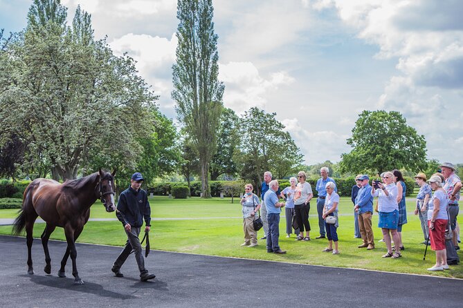 Guided Half Day Behind the Scenes Newmarket Tour - Customer Reviews and Ratings