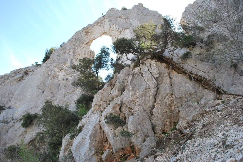 Guided Hike to Cala Mariolu - Preparation Essentials