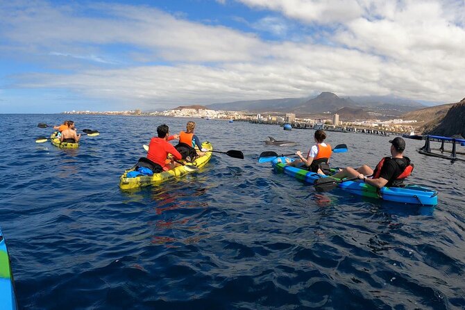 Guided Kayak Tour From Los Cristianos Beach Tenerife - Booking and Reviews