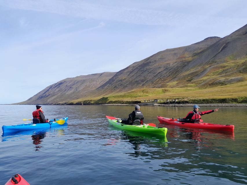 Guided Kayak Tour in Siglufjörður / Siglufjordur. - Participant Restrictions