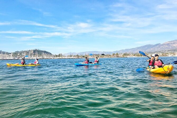Guided Kayak Wildlife Tour in the Santa Barbara Harbor - Booking Information