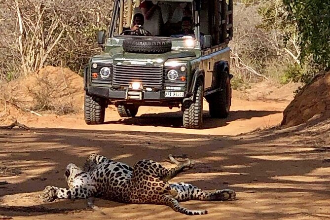 Guided Leopard Safari in Yala National Park in a Land Rover Defender - Customer Reviews