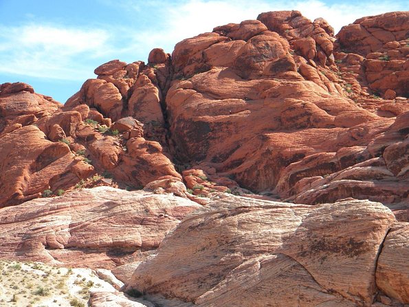 Guided Mountain Bike Tour of Mustang Trail in Red Rock Canyon - Safety Guidelines