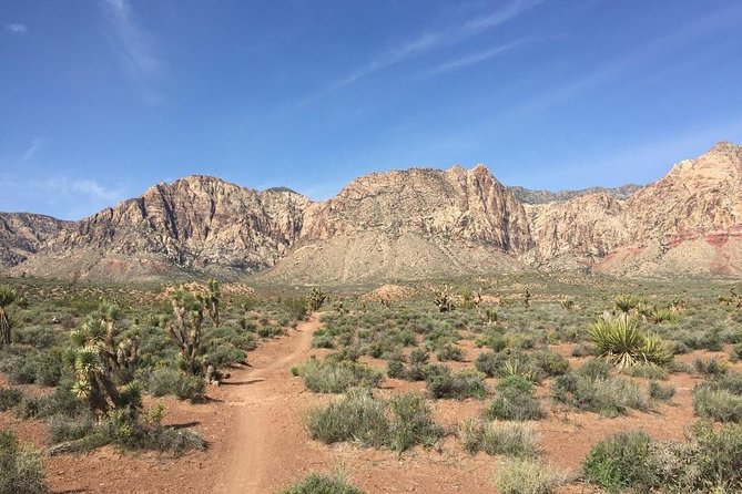 Guided or Self-Guided Road Bike Tour of Red Rock Canyon - Tour Logistics and Meeting Points