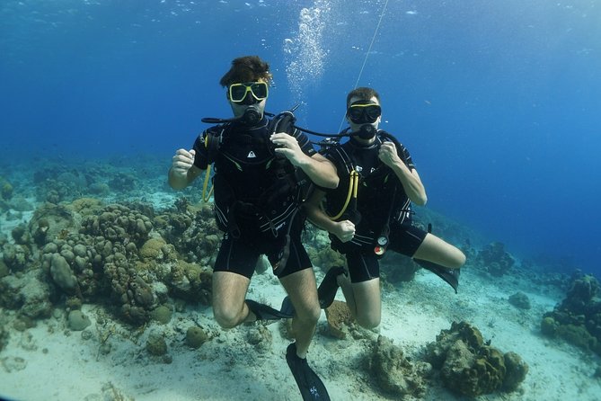 Guided Shore Dive for Certified Divers With Scubaçao (2 Tank) - Dive Sites and Marine Life