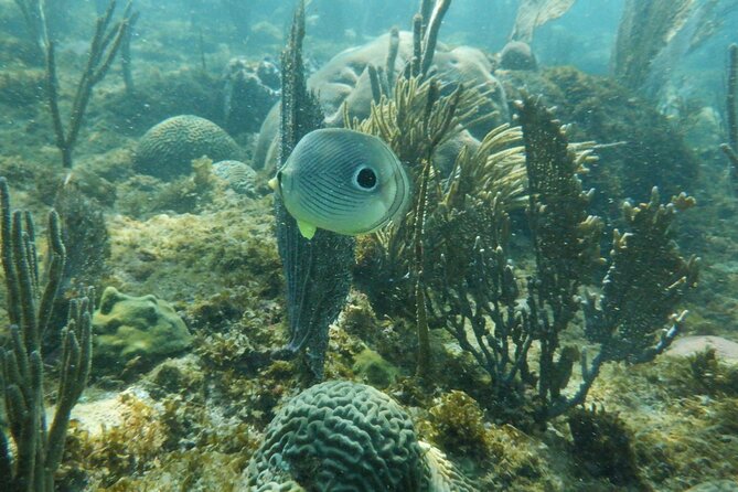 Guided Shore Diving Tour - Booking and Cancellation Policy