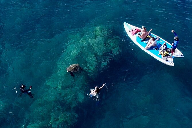 Guided Snorkeling Tour for Non-Swimmers Wailea Beach - Group Size and Dynamics