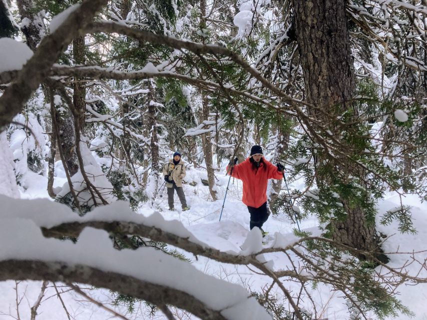 Guided Snowshoeing Adventure From Seward, Alaska - Booking and Cancellation