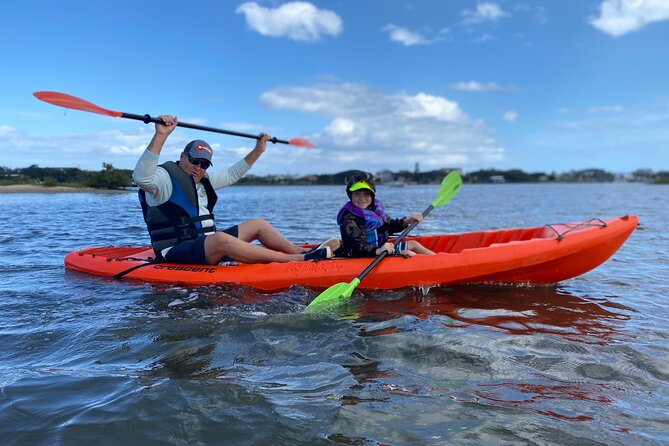 Guided Tour for Dolphin & Sea Turtle Observation in Saint Augustine, Florida - Environmental Factors Impacting Tours