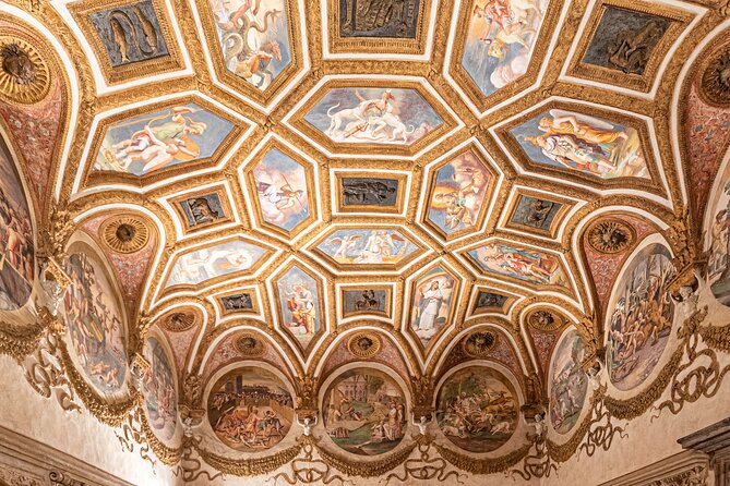 Guided Tour of Te Palace of Mantua - Highlights of the Tour