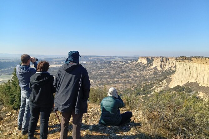 Guided Tour of the Bardenas Reales of Navarre by 4x4 - Scenic Landscapes and Highlights
