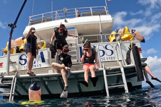 Guided Underwater Scooter and Snorkeling Activity in St. Thomas - Marine Life Encountered