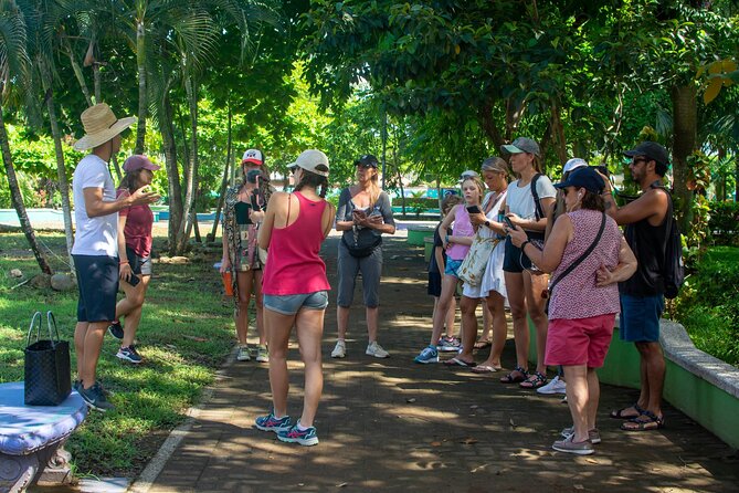 Guided Walking Street Art & Graffiti Tour in Jaco Costa Rica - Highlights of the Experience