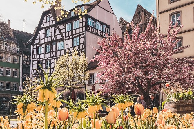 Guided Walking Tour in Strasbourg Between History and Curiosities - Customer Reviews and Feedback