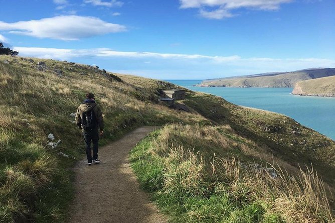 Guided Walking Tour & Scenic Drive Form Christchurch - Lyttelton & Godley Head - Reviews and Testimonials
