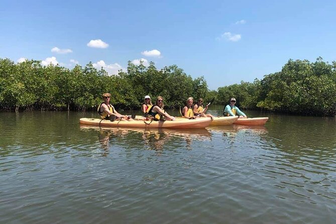 Guided Wildlife Eco Kayak Tour in New Smyrna Beach - Customer Experiences