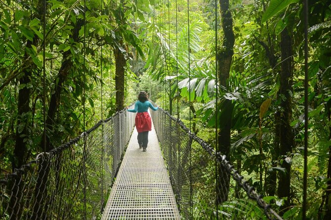 Half Day Adventure From Arenal -2 Tours in 1, 4 Options to Choose - Customization Possibilities
