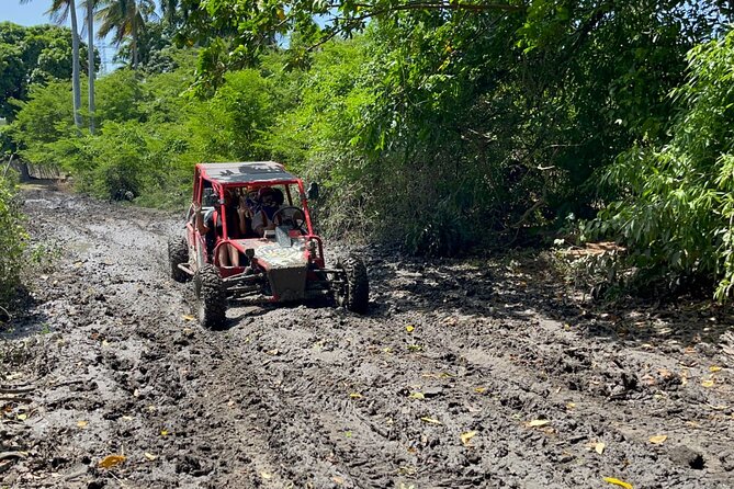 Half-Day Buggy Guided Adventure for Amber Cove and Taino Bay - Operational Feedback and Issues