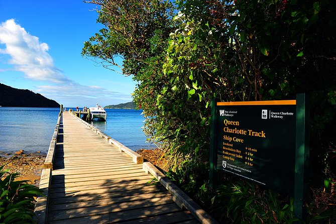 Half-Day Cruise in Marlborough Sounds From Picton - Meeting Point and Logistics