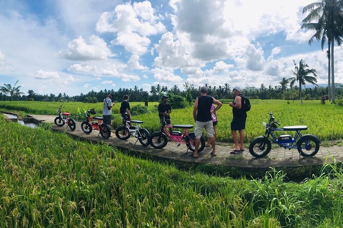 Half-Day Electric Fat Bike Tour of Ubud - Electric Bikes and Terrain