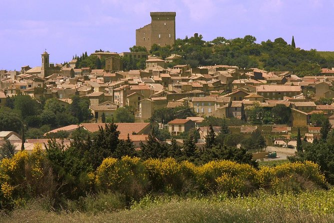 Half Day Great Vineyard Tour From Avignon - Booking and Cancellation Policy