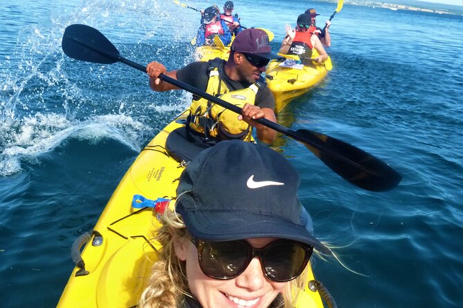 Half-Day Kayak to the Maori Rock Carvings in Lake Taupo - Accessibility Information