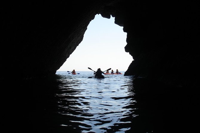Half-Day Kayak Tour in Sesimbra - Customer Experiences and Feedback