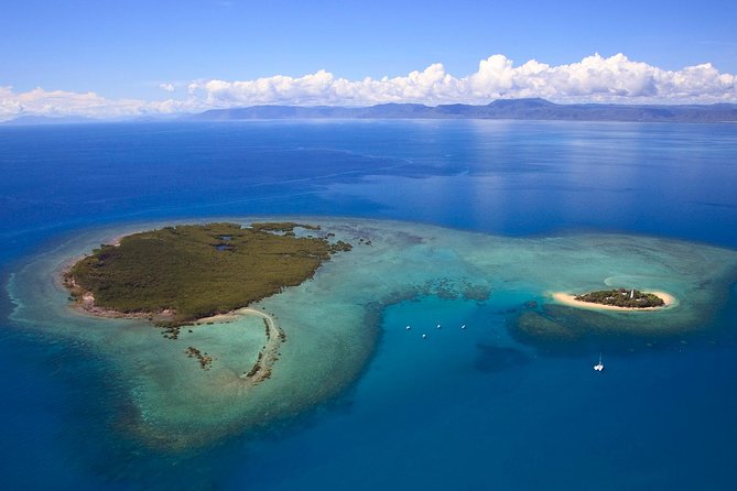 Half Day Low Isles Snorkelling Tour From Port Douglas - Booking Information