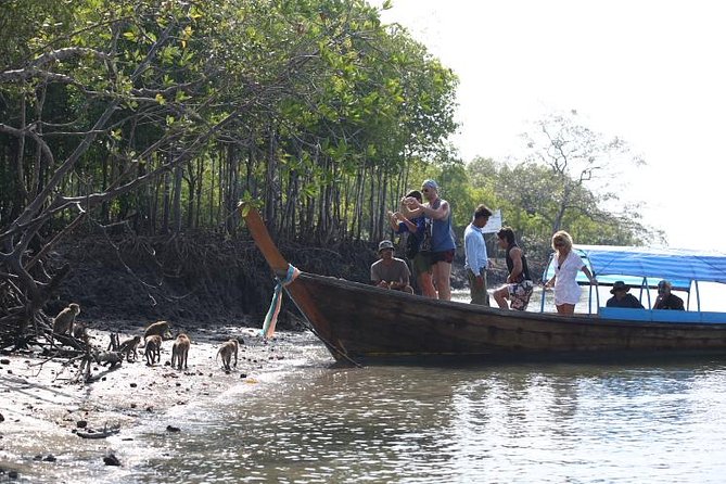 Half Day Mangrove by Kayaking or Longtail Boat From Koh Lanta - Customer Feedback and Ratings