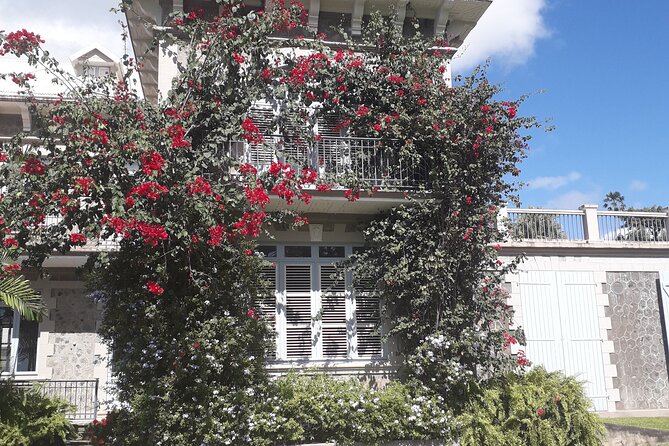 Half-Day Nature and Panorama Tour in Martinique - What to Bring