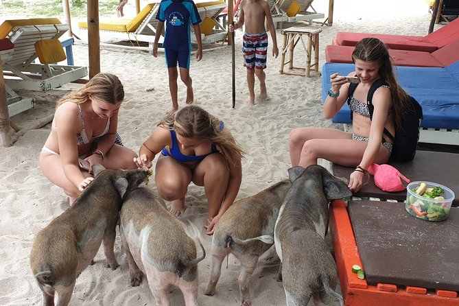 Half-Day Pig Island & Snorkeling Experience - Itinerary