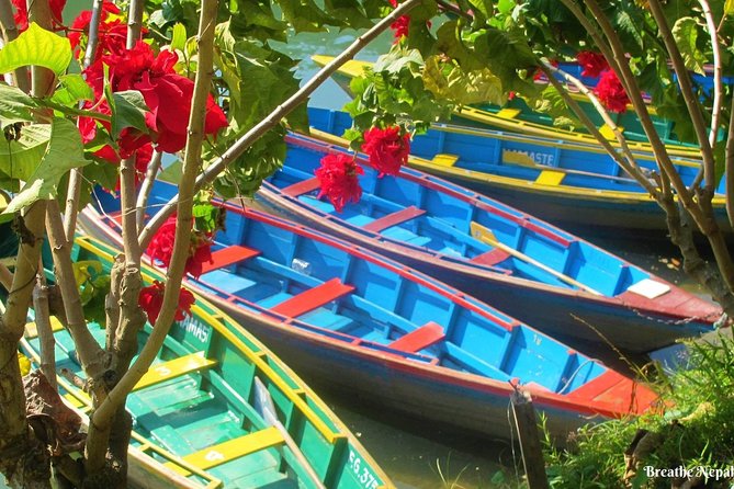 Half-Day Private Pokhara Tour - Cultural Experience