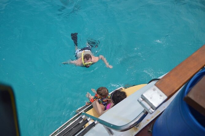 Half Day Private Snorkeling Experience in Aruba BYOFD - Customer Reviews