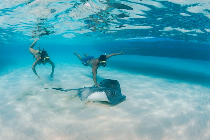 Half-Day Private Stingray City Charter - Grand Cayman - BTC - Pricing Information