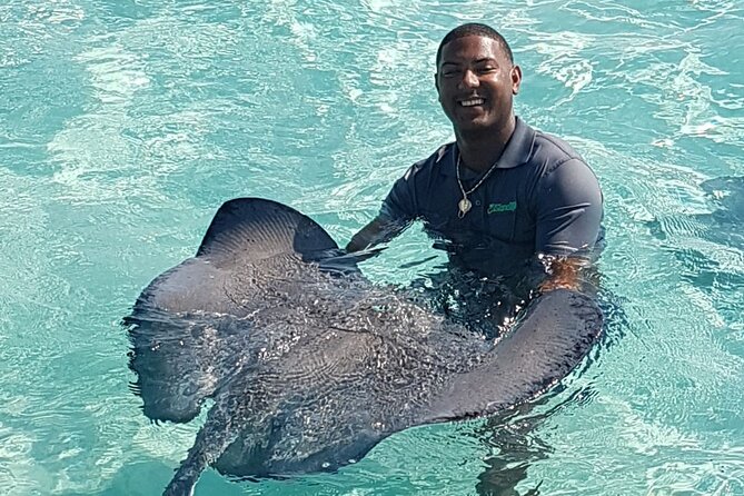 Half-Day Private Stingray City Charter in Cayman Islands - Tips for Your Trip