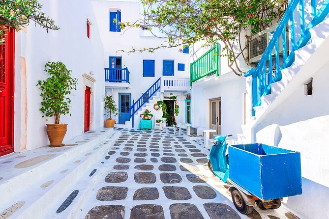 Half Day Private Tour Island With a Local in Mykonos - Panorama View