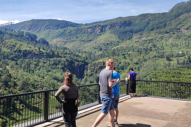 Half-Day Private Trip to Waterfalls and Tea Factory - Traveler Experiences and Reviews