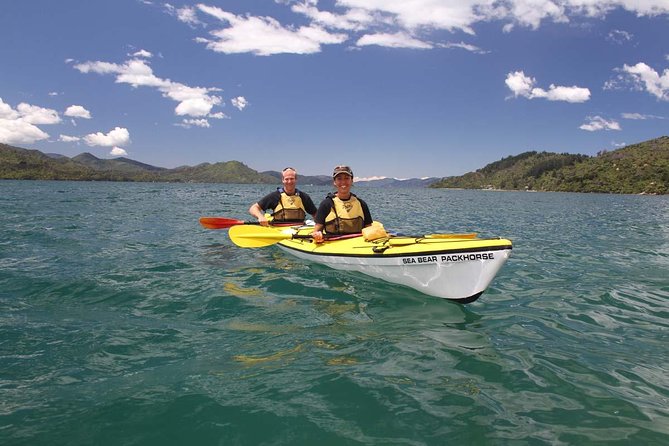 Half Day Sea Kayak Guided Tour From Picton - Customer Reviews