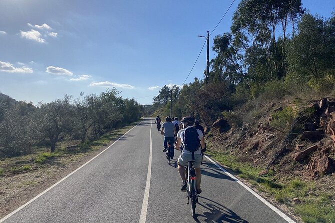 Half-Day Small-Group E-Bike Tour of Rural Algarve With Lunch - Transportation Options