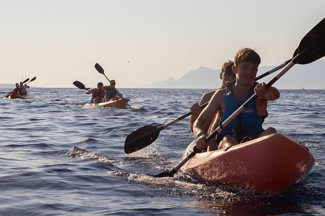 Half-Day Small-Group Kayaking Tour in Makarska - Customer Reviews and Feedback