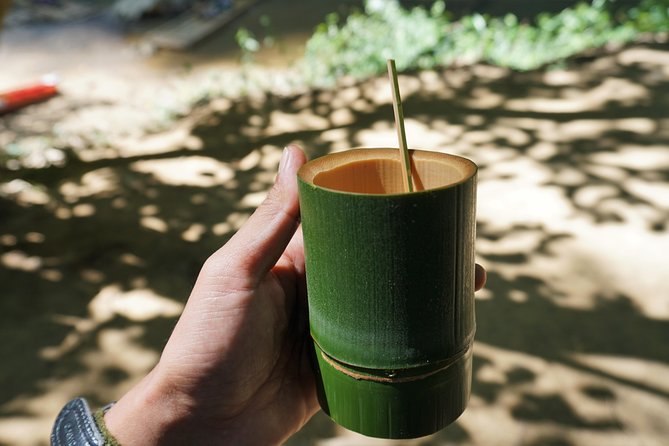 Half Day : Sok River + Monkey Temple + View Point - Inclusions and What to Expect