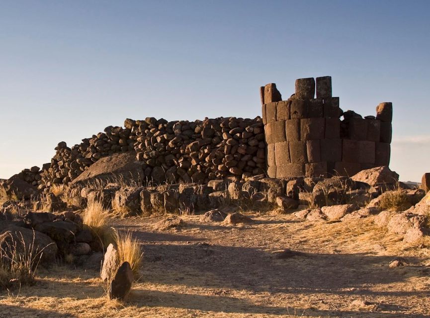 Half Day Tour to Sillustani From Puno - Local Wildlife and Environment