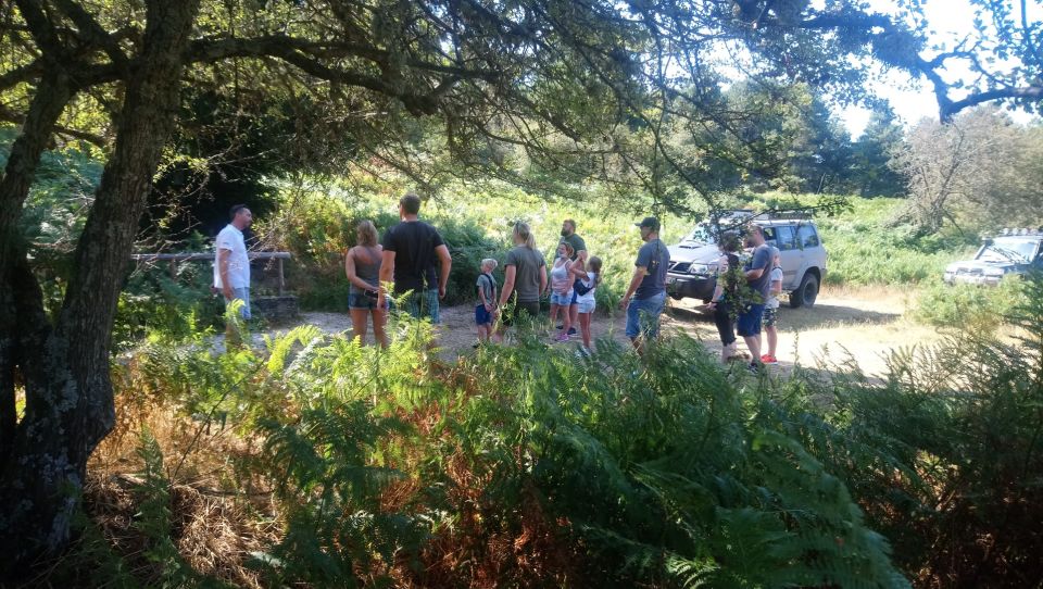 Halkidiki: Kassandra 4x4 Jeep Safari Off-Road Experience - Customer Reviews