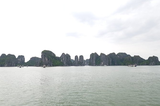 Halong Bay Cruise Tour From Hanoi With Kayak Adventure - Customer Reviews and Feedback