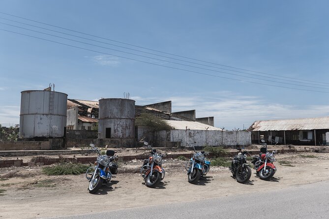 Harley-Davidson RENTALS ONLY 8 Hrs - Popular Destinations to Explore