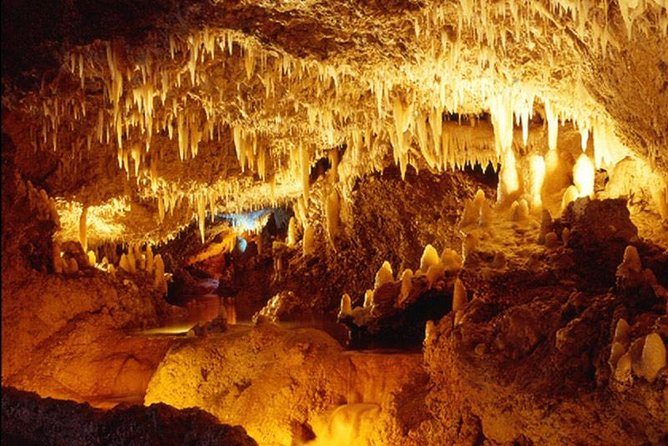 Harrisons Cave Tour From Bridgetown - Exploring Barbados Beyond the Cave