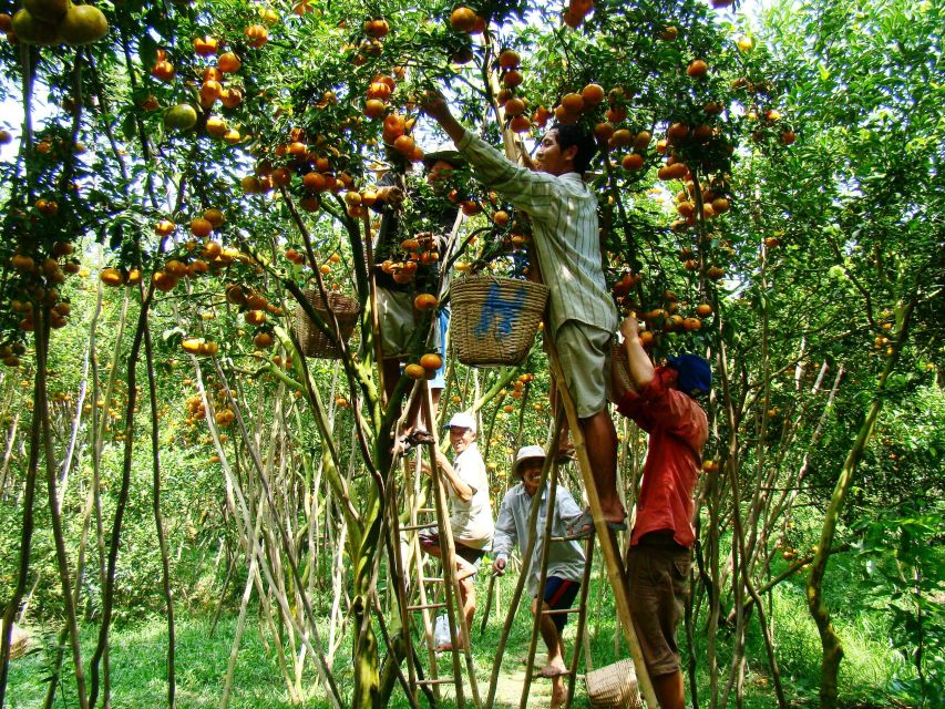 HCMC: Cai Rang Floating Market & Mekong Delta Private Tour - Local Delicacies and Cuisine