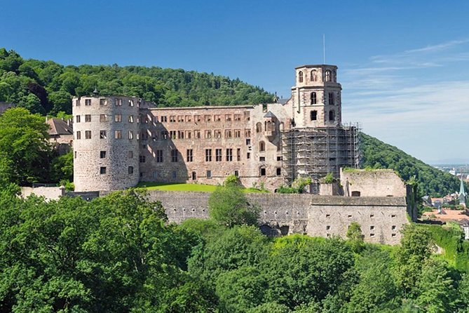 Heidelberg Castle and Old Town Tour From Frankfurt - Traveler Feedback
