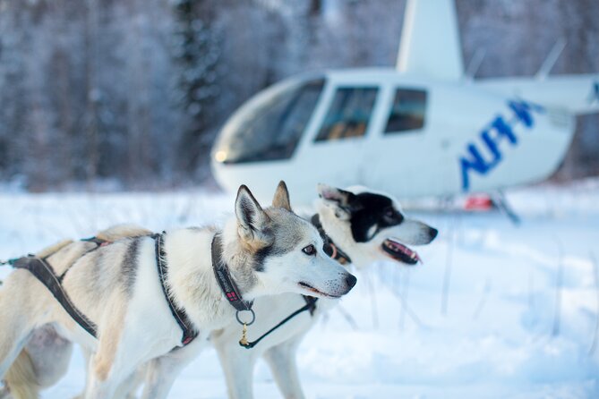 Helicopter Glacier Dogsled Tour + Lower Glacier Landing - ANCHORAGE AREA - Accessibility Features