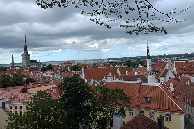 Helsinki to Tallinn Guided Tour With Return Cruise Tickets - Group Size and Duration